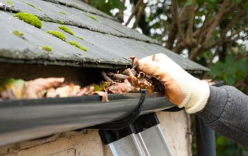 gutter cleaning Puttenham